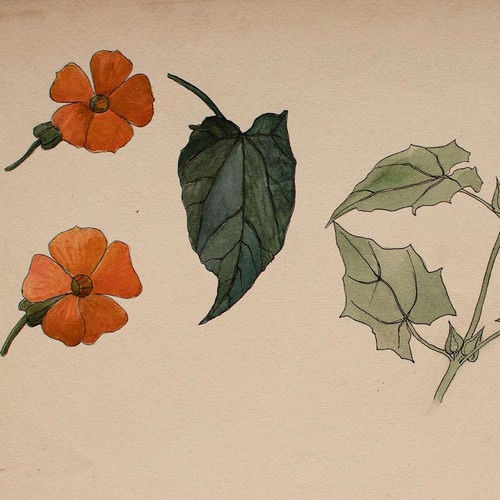 Jugendstil blumen blüten - jugendstil,