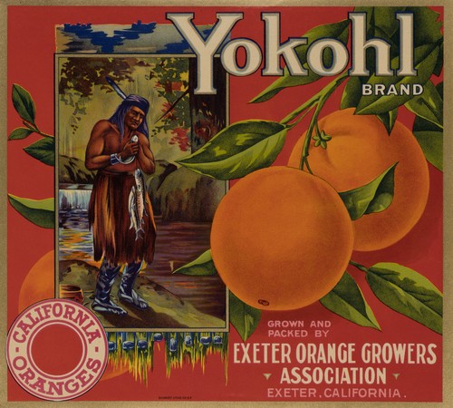 Yokohl orangenwerbung - yokohl,