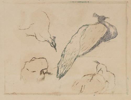 Voortman - voortman, (19.jhd,