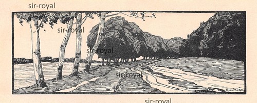 Straße mit bäumen - straße,