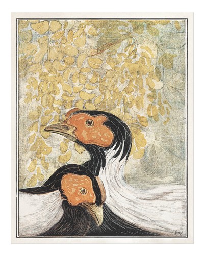 Elegante vögel jugendstil - elegante,