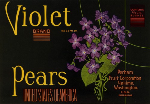 Violet brand etikett - brand,
