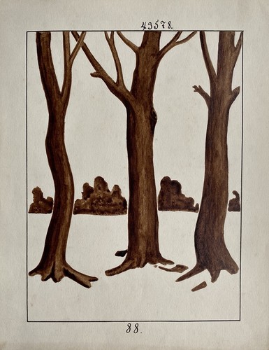 Jugendstil entwurf skizze - entwurf,
