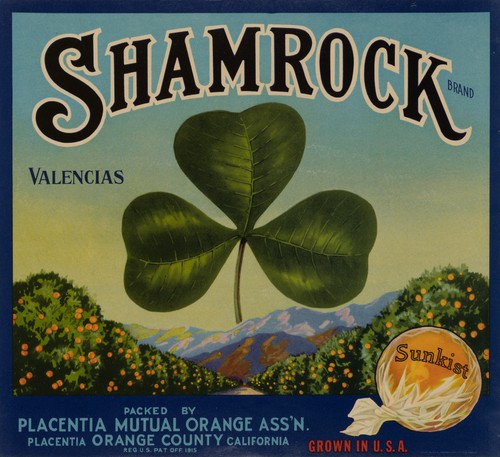 Shamrock orangenwerbung - shamrock,
